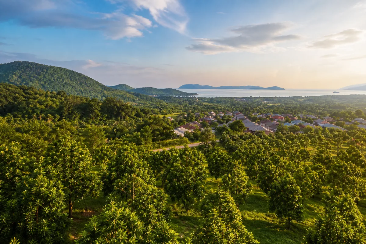 Balik Pulau