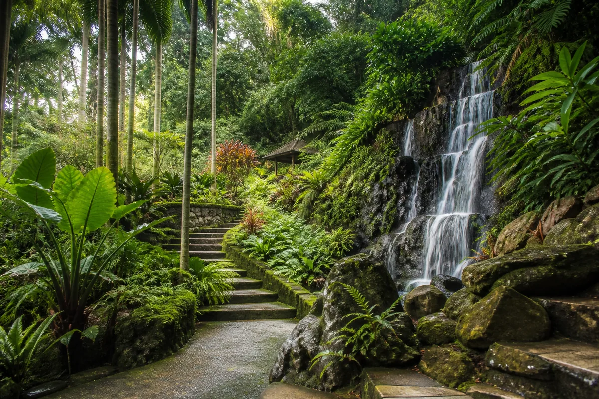 Penang Botanic Gardens